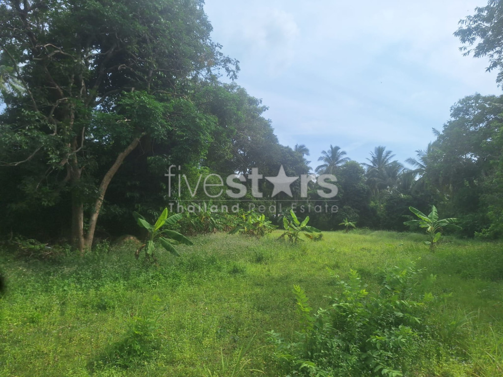 Terrain Plat à Vendre à Leamsor – 4 116 m² | À 1,6 km de la Plage, photo 3