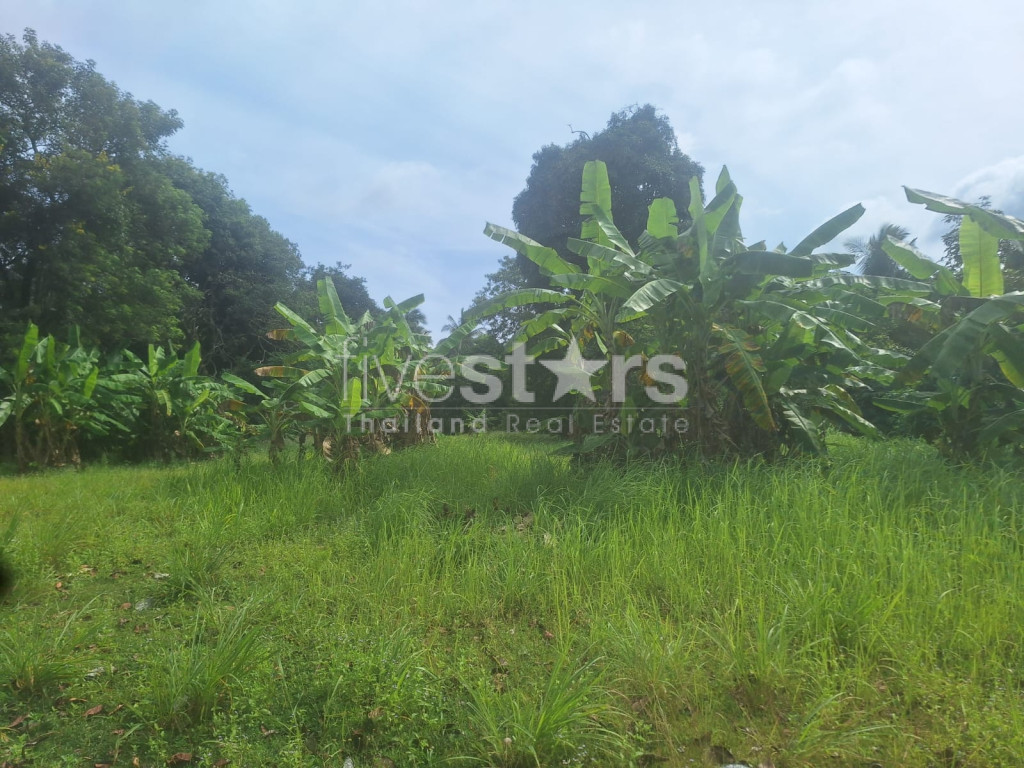 Terrain Plat à Vendre à Leamsor – 4 116 m² | À 1,6 km de la Plage, photo 5