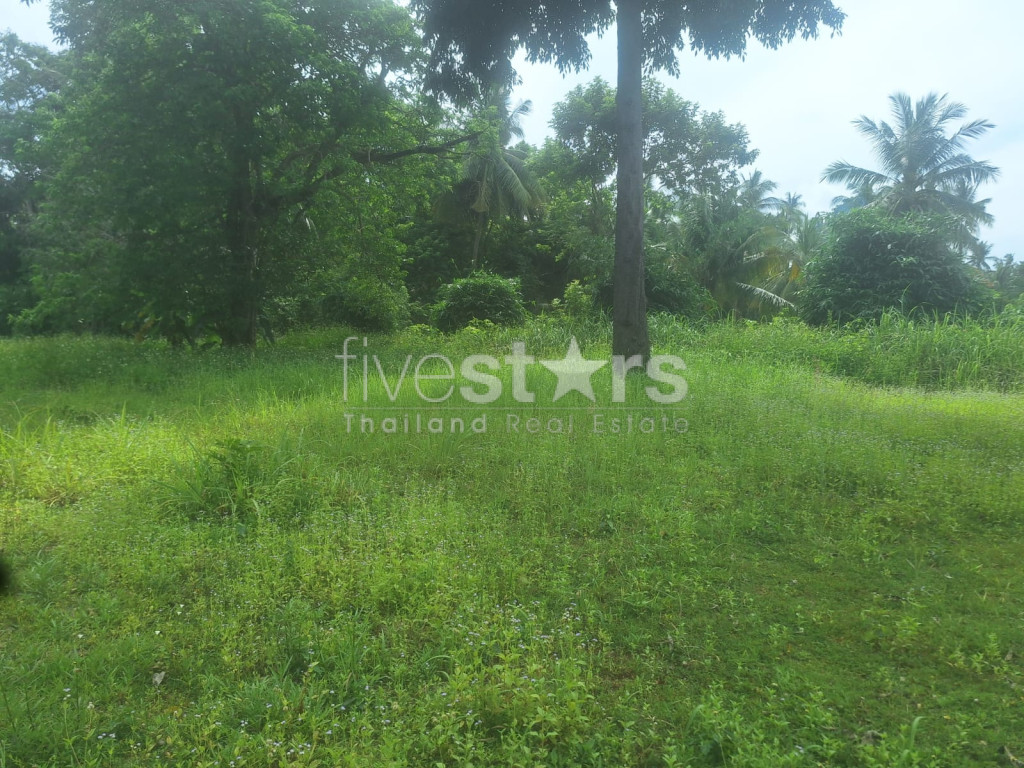 Terrain Plat à Vendre à Leamsor – 4 116 m² | À 1,6 km de la Plage, photo 6