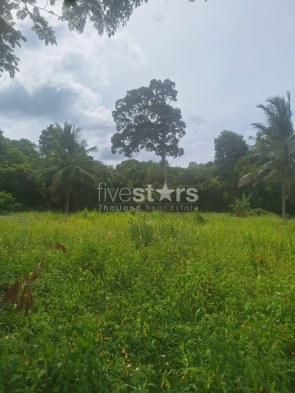 Terrain à Vendre – 2 644 m² à Bang Kao, Koh Samui, photo 6