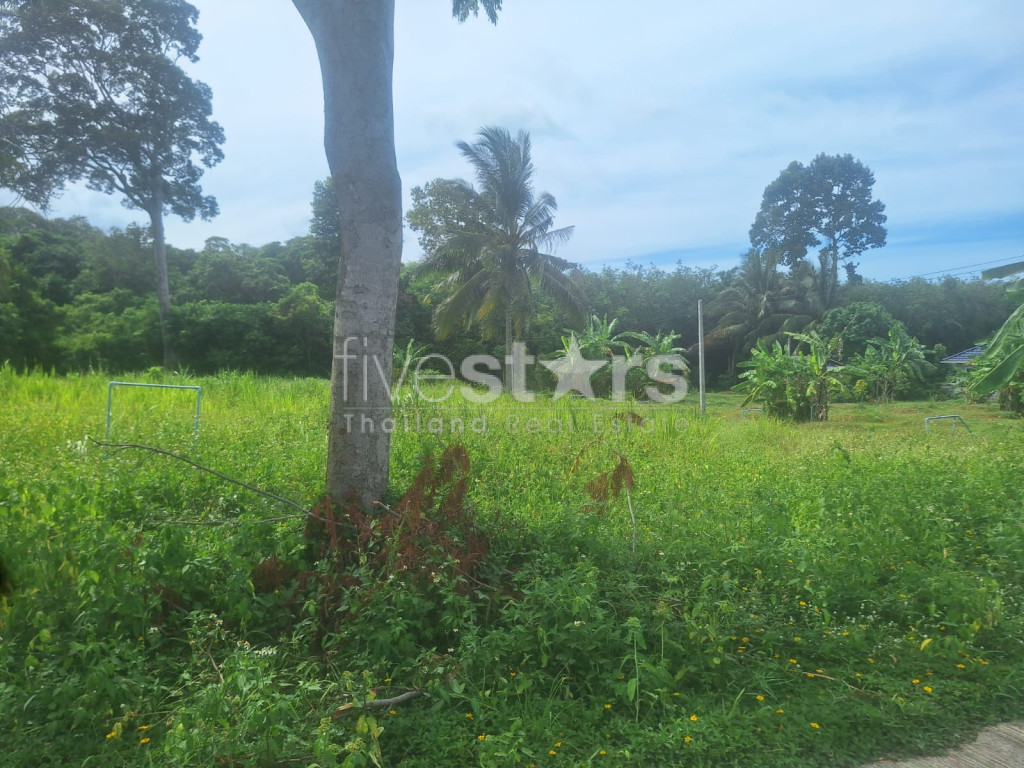 Terrain à Vendre – 2 644 m² à Bang Kao, Koh Samui, photo 10
