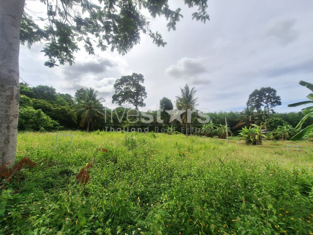 Terrain à Vendre – 2 644 m² à Bang Kao, Koh Samui, photo 2