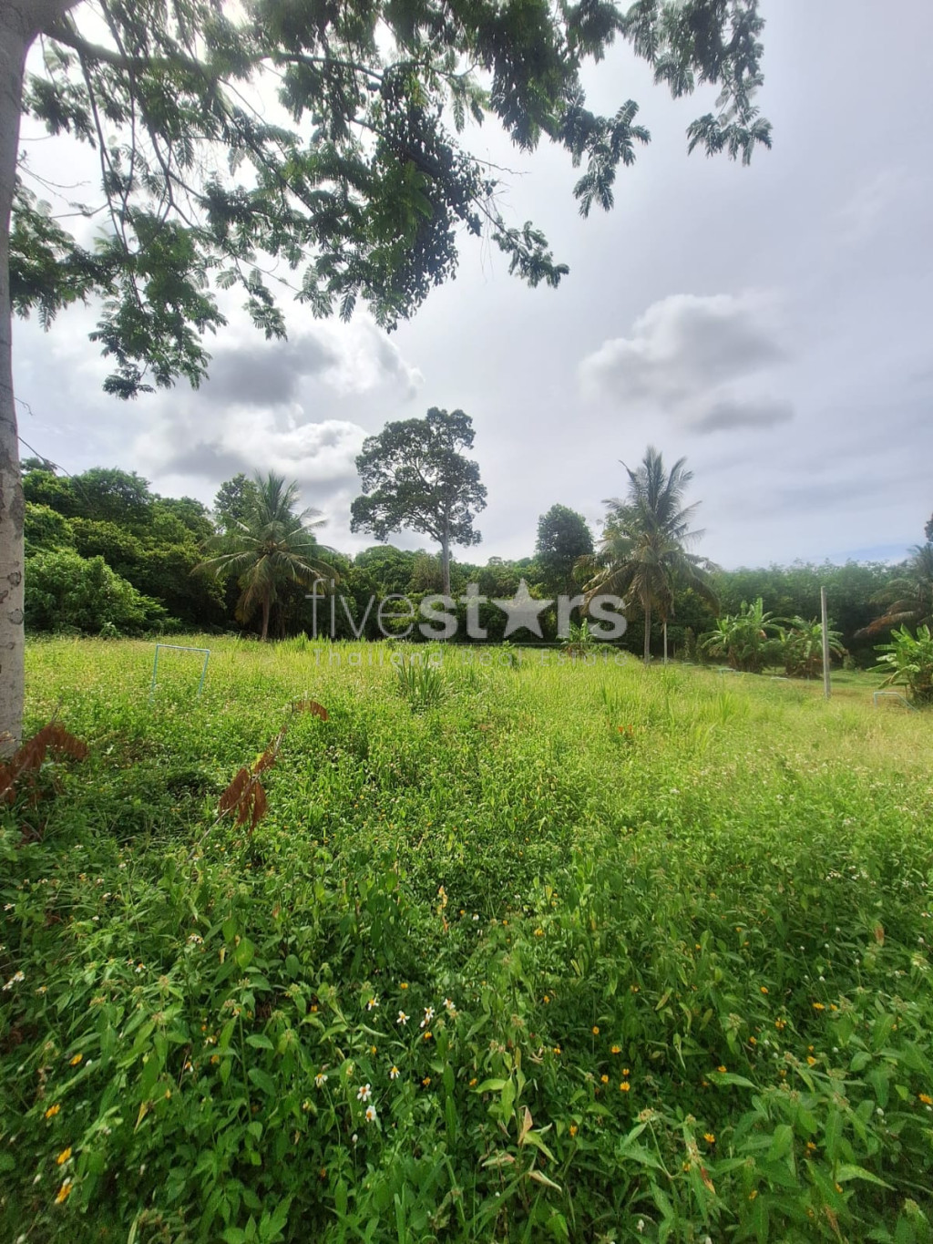 Terrain à Vendre – 2 644 m² à Bang Kao, Koh Samui, photo 3