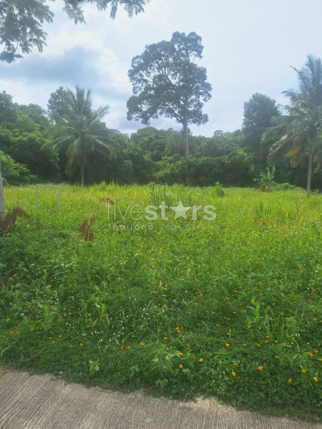 Terrain à Vendre – 2 644 m² à Bang Kao, Koh Samui, photo 7