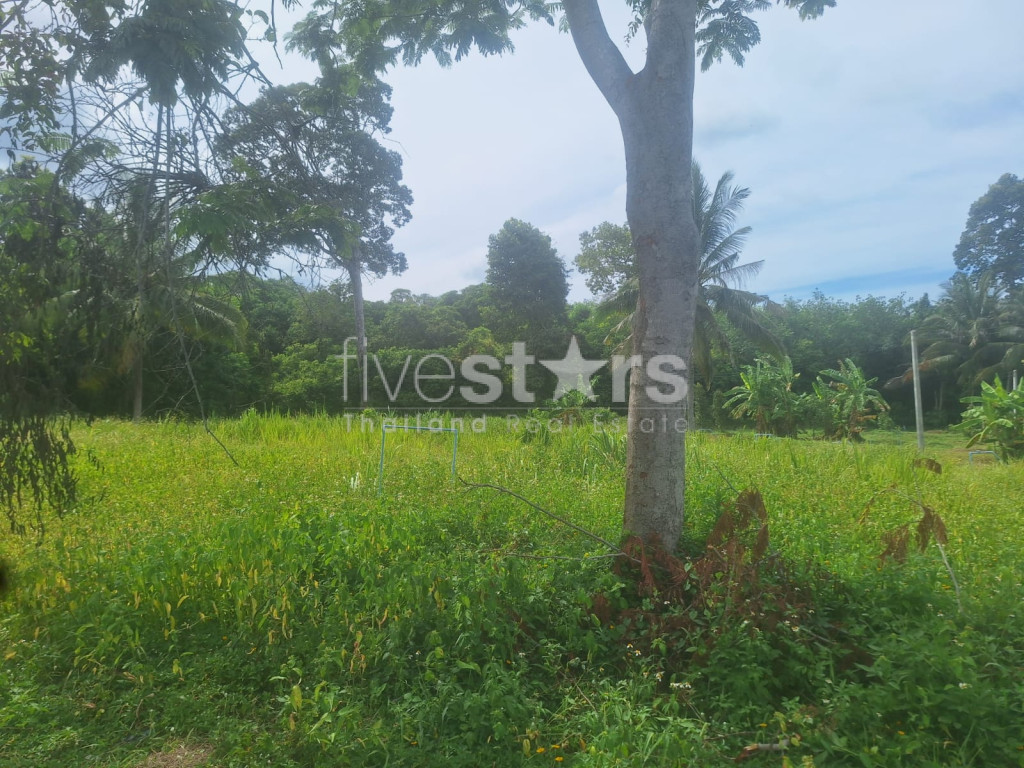 Terrain à Vendre – 2 644 m² à Bang Kao, Koh Samui, photo 8