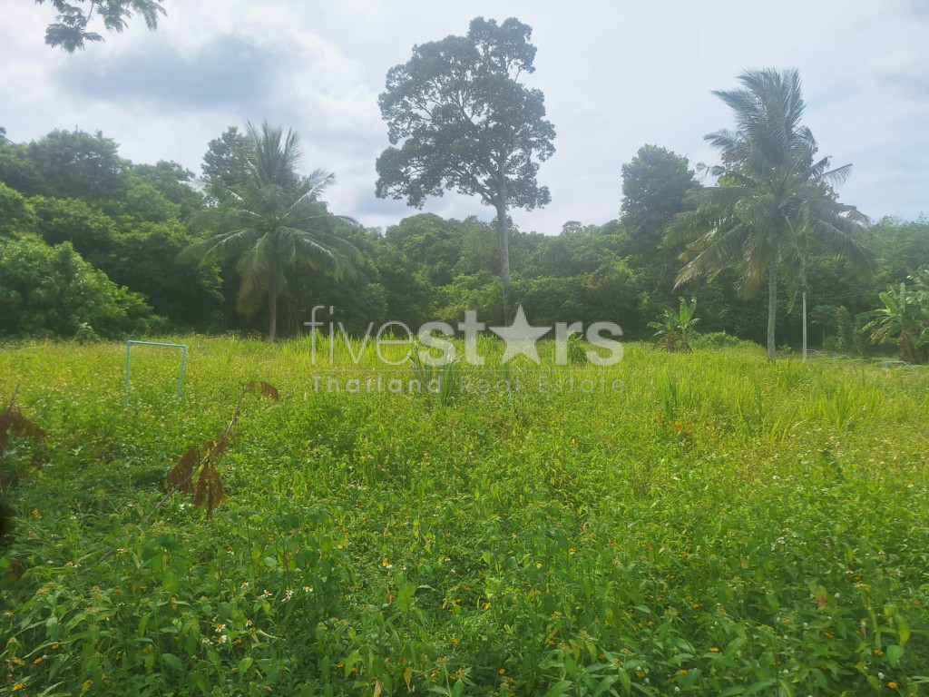 Terrain à Vendre – 2 644 m² à Bang Kao, Koh Samui, photo 4