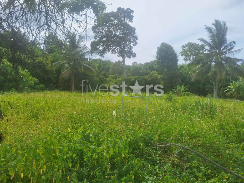 Terrain à Vendre – 2 644 m² à Bang Kao, Koh Samui, photo 5