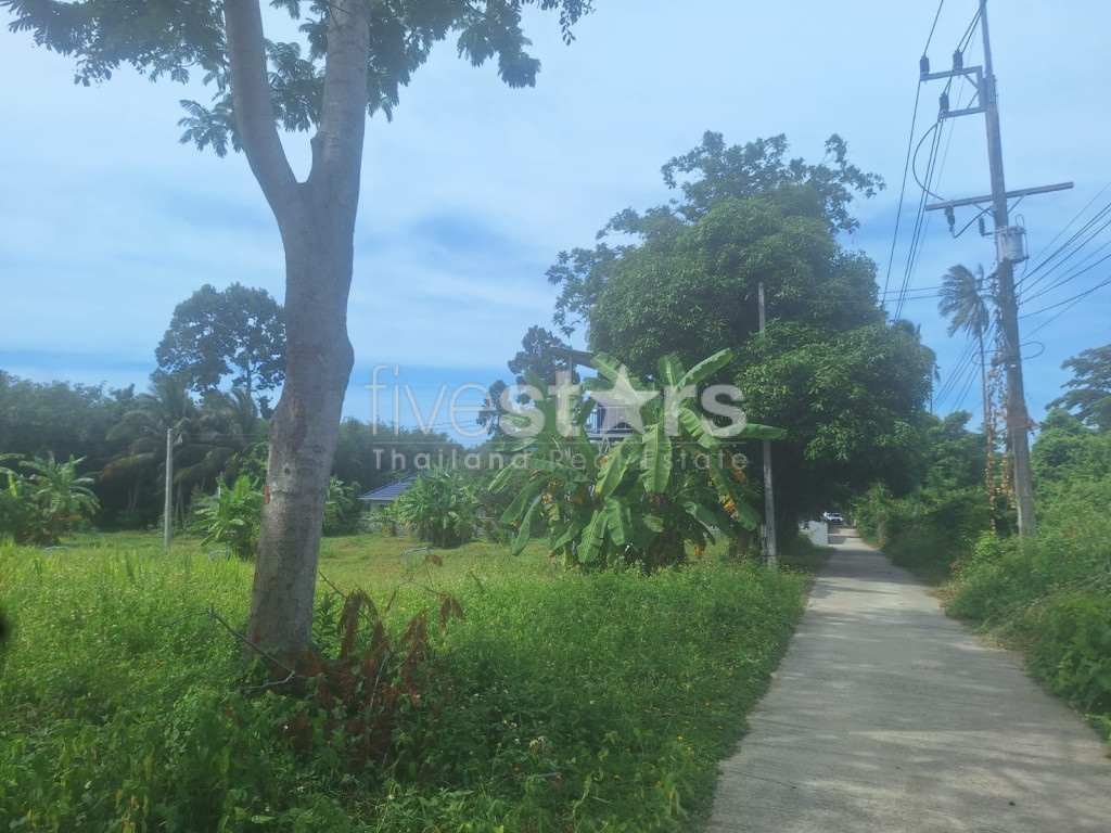 Terrain à Vendre – 2 644 m² à Bang Kao, Koh Samui, photo 11
