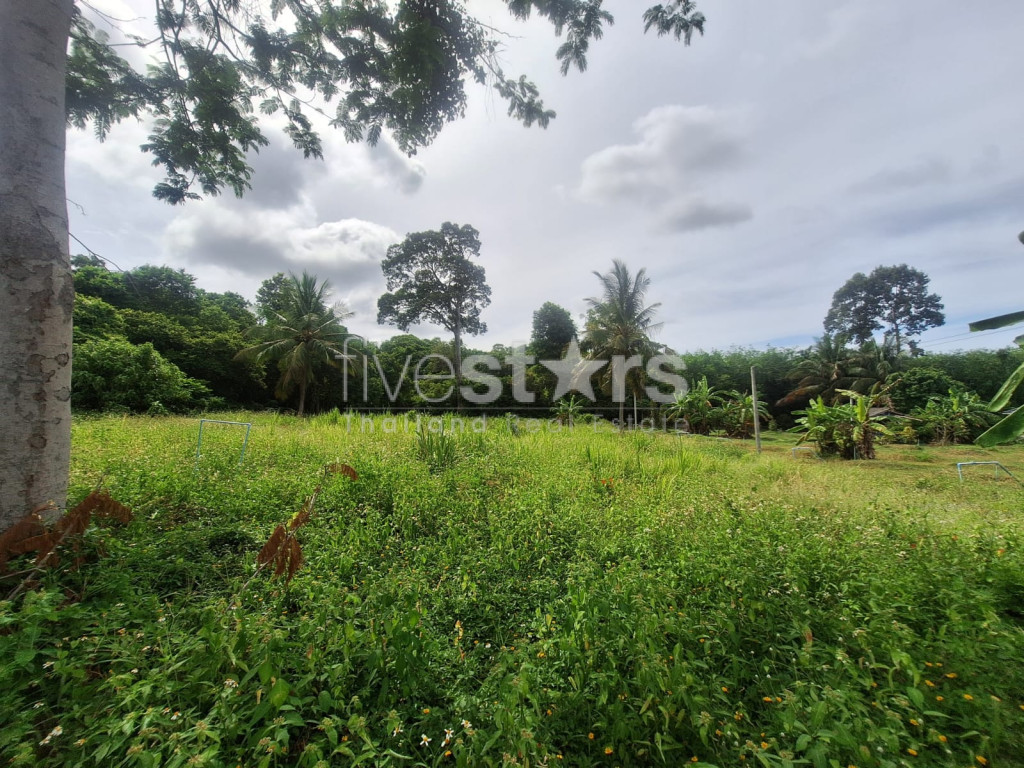 Terrain à Vendre – 2 644 m² à Bang Kao, Koh Samui