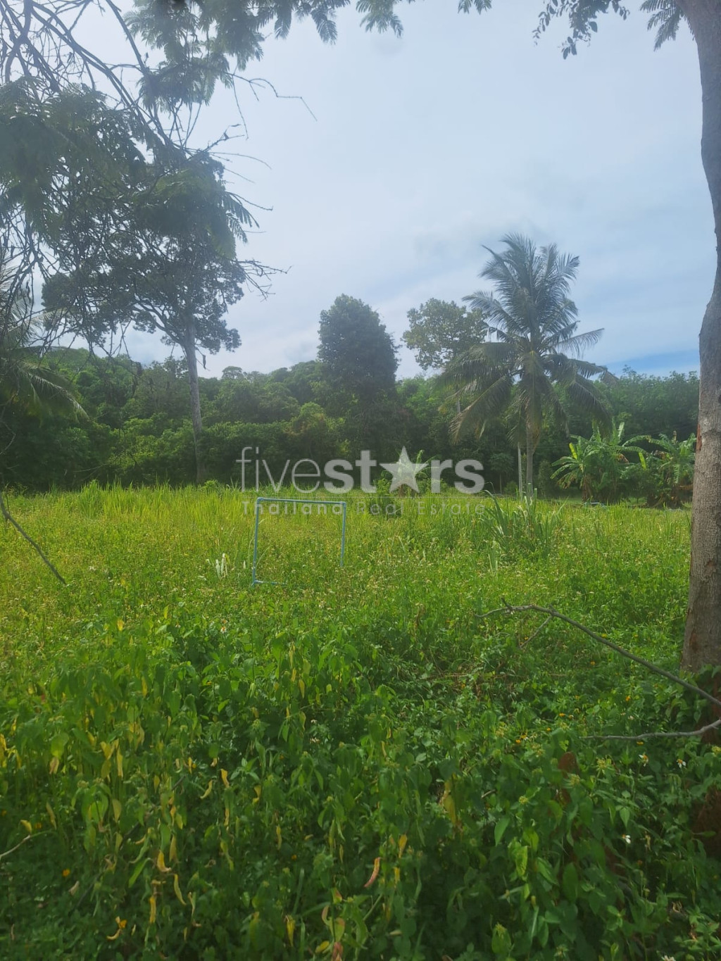 Terrain à Vendre – 2 644 m² à Bang Kao, Koh Samui, photo 9