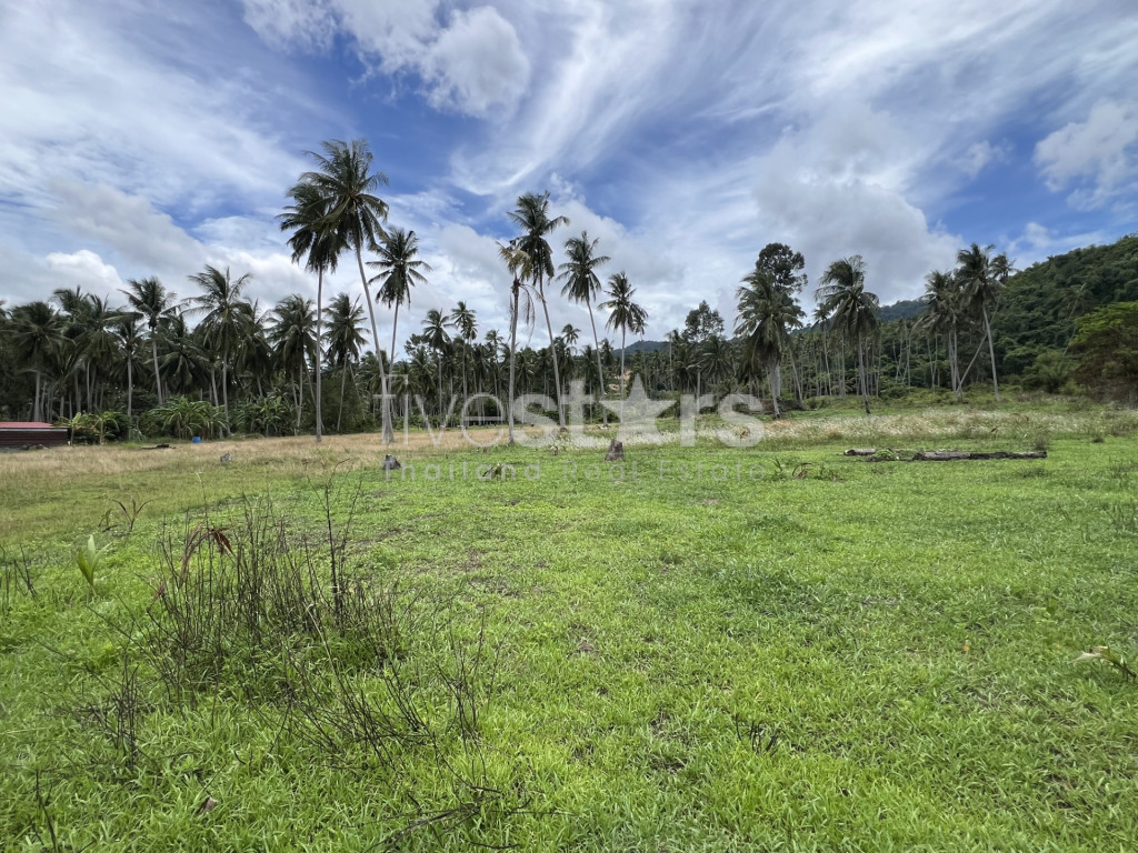 Terrain Prime de Coconuts à Maenam, Koh Samui, photo 3