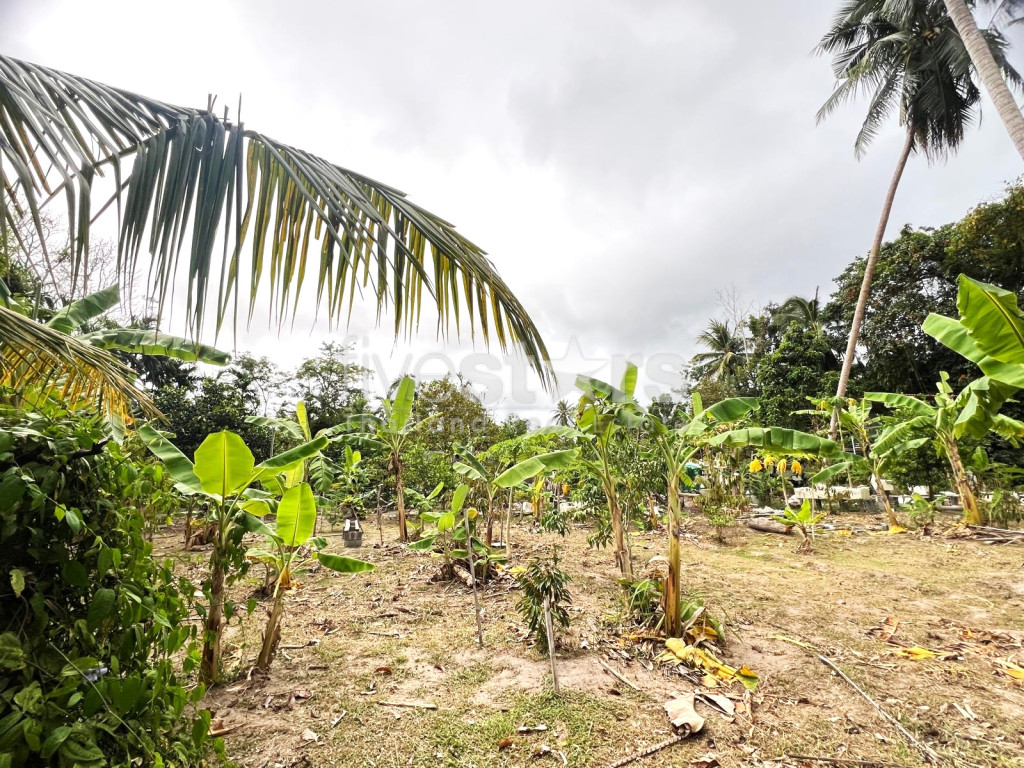 Flat Land For Sale in Taling Ngam