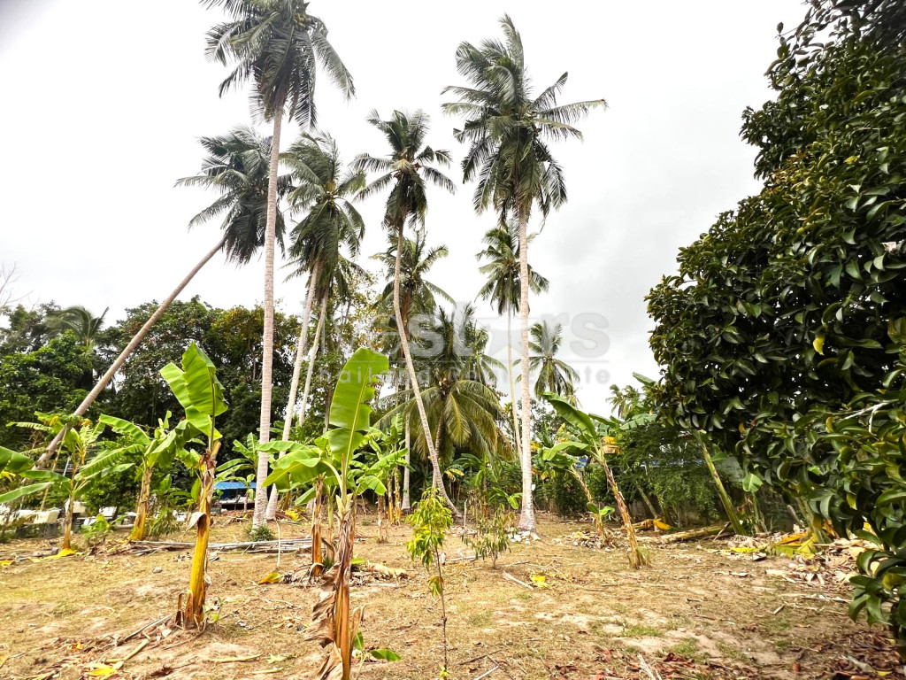 Flat Land For Sale in Taling Ngam, photo 2