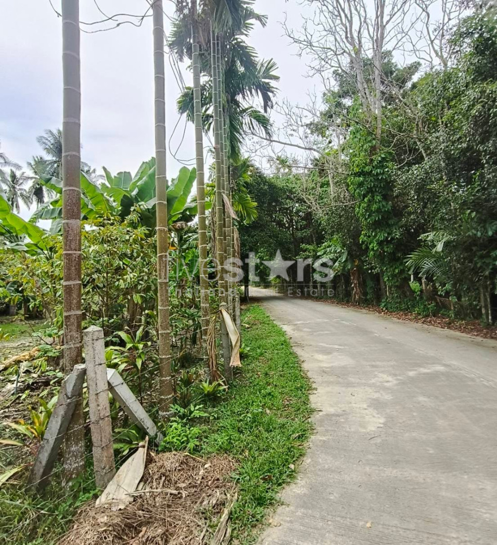 Flat Land For Sale in Taling Ngam, photo 6