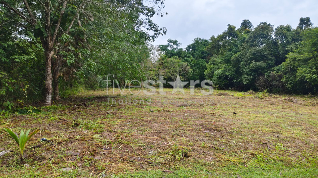 Flat Land for Sale in Taling Ngam – 1 Rai, photo 2