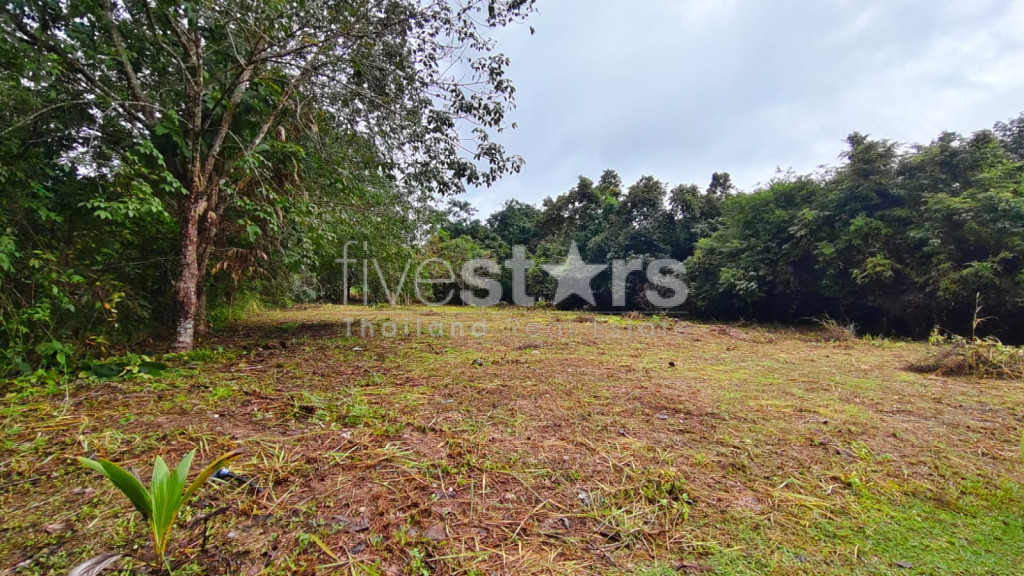 Flat Land for Sale in Taling Ngam – 1 Rai, photo 3