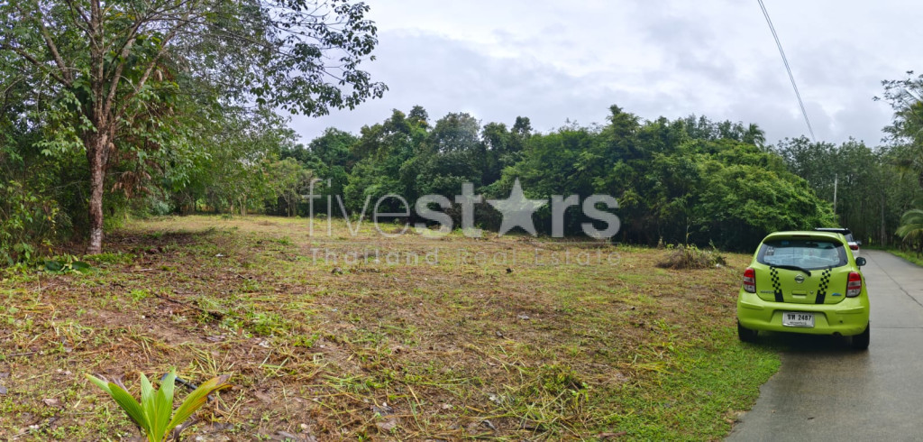 Flat Land for Sale in Taling Ngam – 1 Rai, photo 4