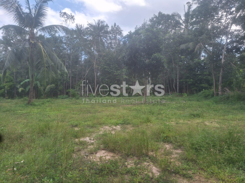 Flat Land for Sale – Maenam Soi 2, Koh Samui, photo 3