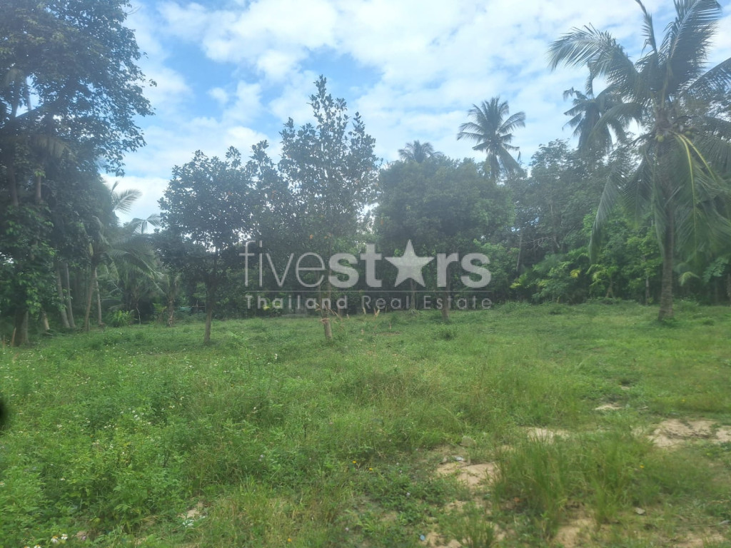 Flat Land for Sale – Maenam Soi 2, Koh Samui, photo 5
