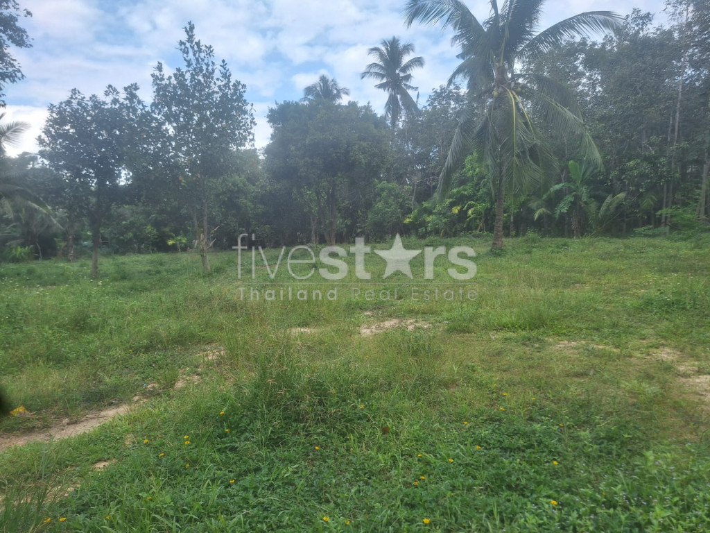 Flat Land for Sale – Maenam Soi 2, Koh Samui, photo 2