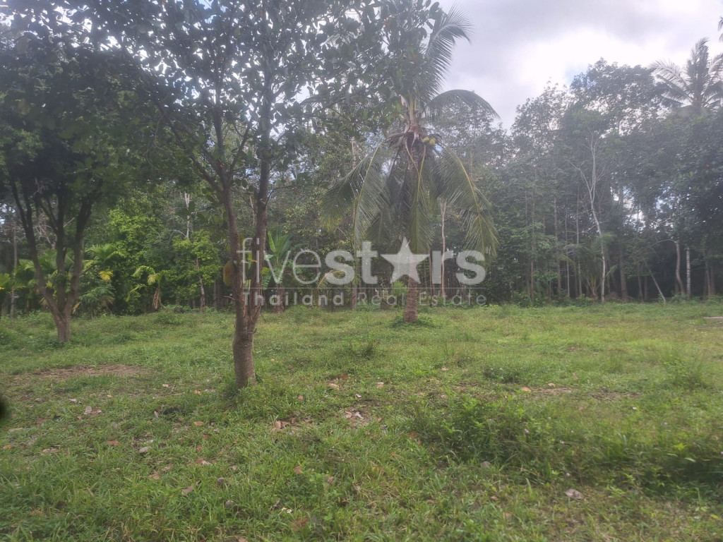 Flat Land for Sale – Maenam Soi 2, Koh Samui, photo 4