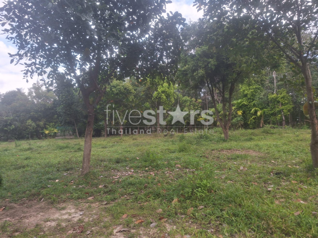 Flat Land for Sale – Maenam Soi 2, Koh Samui, photo 6