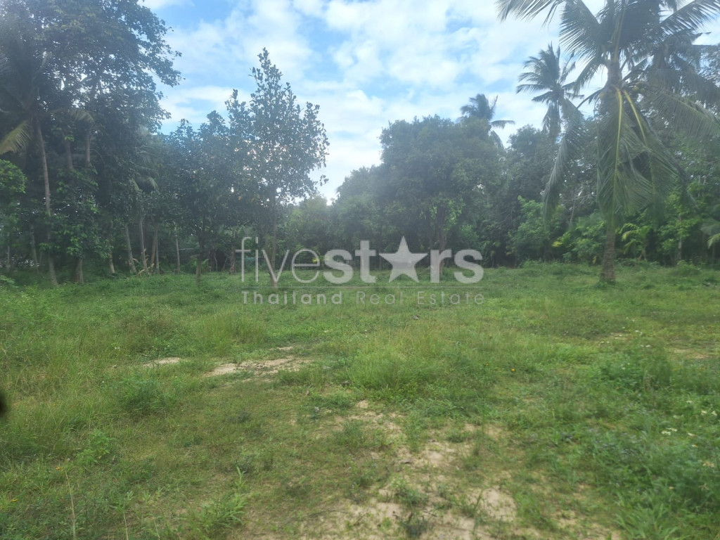 Flat Land for Sale – Maenam Soi 2, Koh Samui