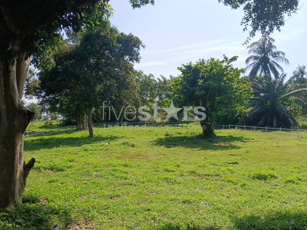 Terrain Plat à Vendre Proche de la Plage – Laem Set, Koh Samui( 2,140 sqm.), photo 3