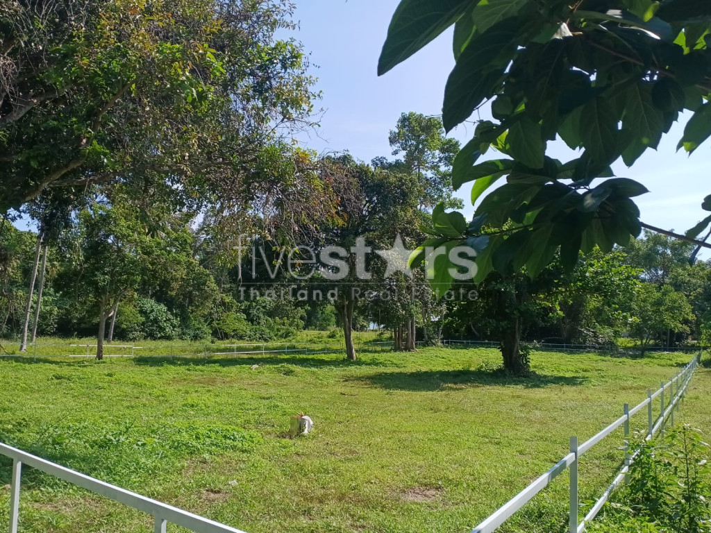 Terrain Plat à Vendre Proche de la Plage – Laem Set, Koh Samui( 2,140 sqm.), photo 4