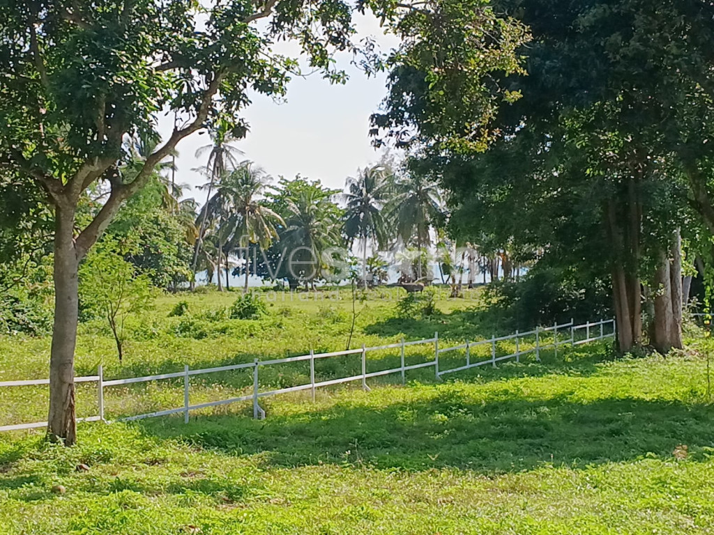 Terrain Plat à Vendre Proche de la Plage – Laem Set, Koh Samui( 2,140 sqm.), photo 2