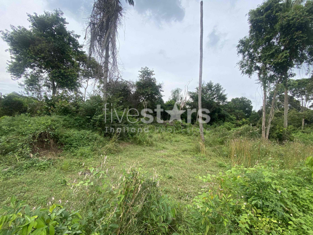 Terrain à vendre Lipa noi 1,4hectares Koh Samui, photo 3