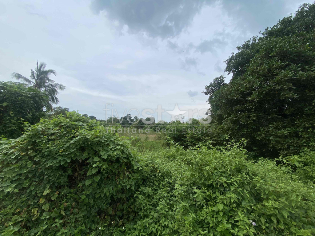 Terrain à vendre Lipa noi 1,4hectares Koh Samui