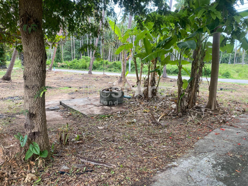 Belle parcelle de terrain à vendre à Laem sor au sud de l'ile, photo 4