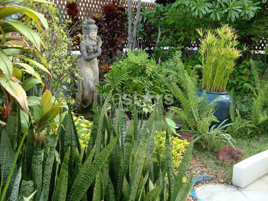 For Sale penthouse with roof garden 2 bedroom plus office room condo in Nana area, photo 10