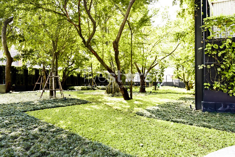 Appartement de deux chambres à vendre à Asoke, photo 18