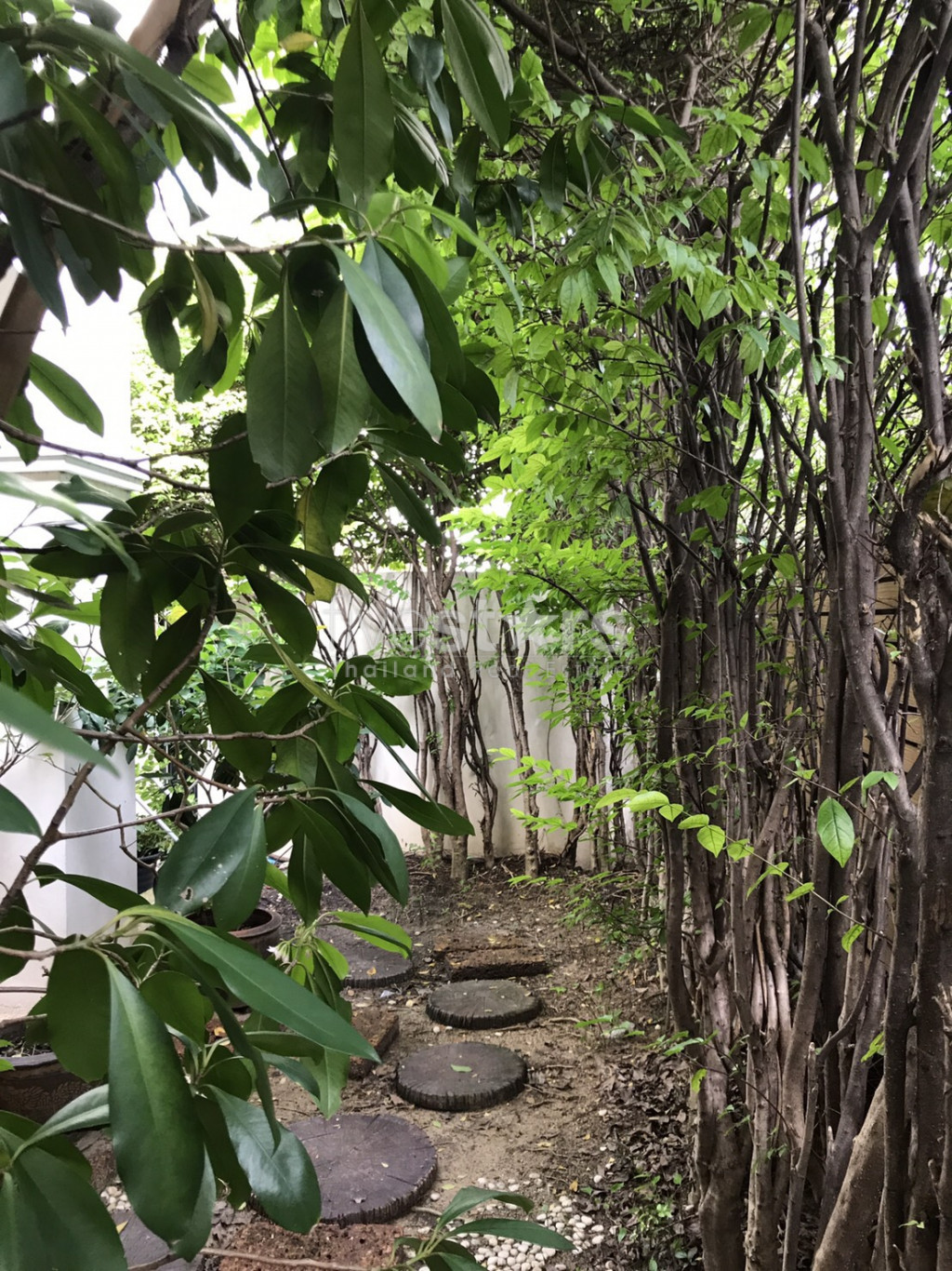 For Sale Modern Townhome in compound 3 bedrooms on Petchaburi road, photo 6