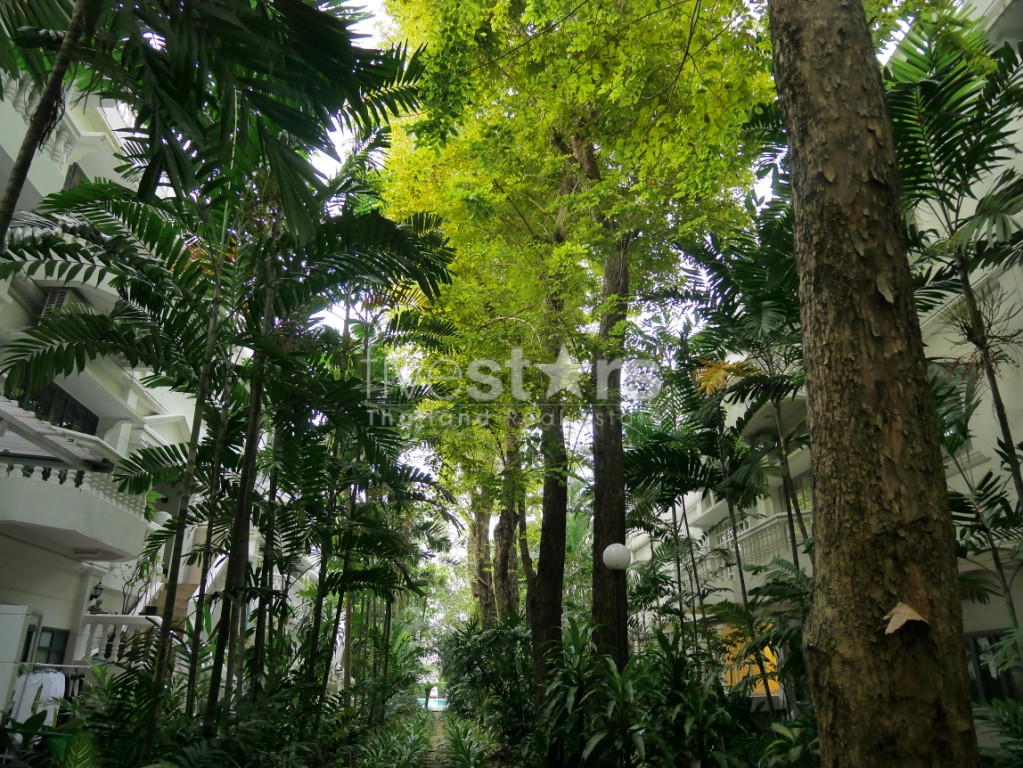4 bedroom Thonglor house with garden, excellent value for money, photo 4