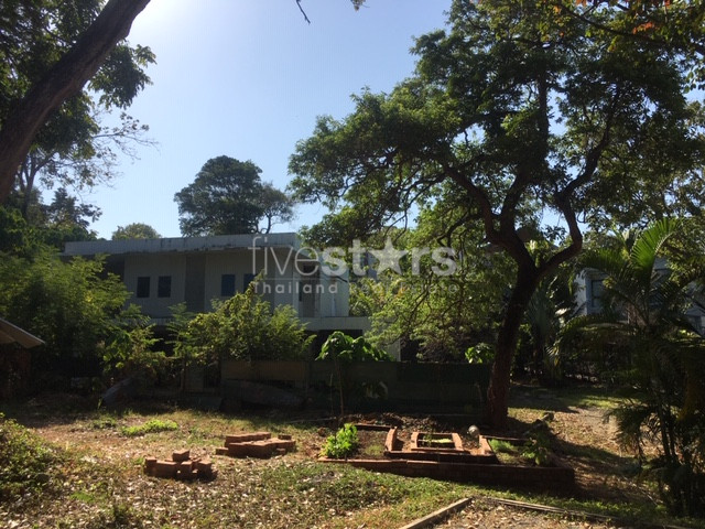 Land for sale in Rawai, photo 3