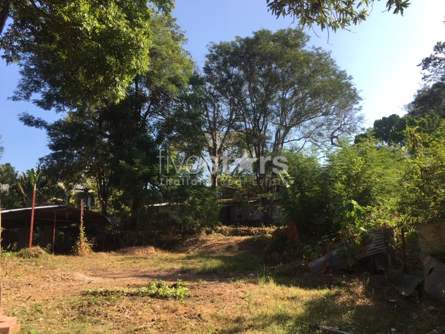 Land for sale in Rawai, photo 4