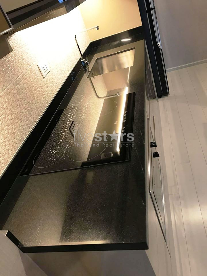 Modern 2 bedrooms condo for rent close to BTS Ploenchit, photo 4