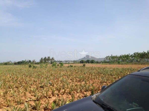 3.5 Rai Of Lovely Land, Nr Main Road With Great Views., photo 11
