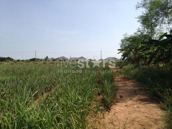 Land With Great Views, photo 6