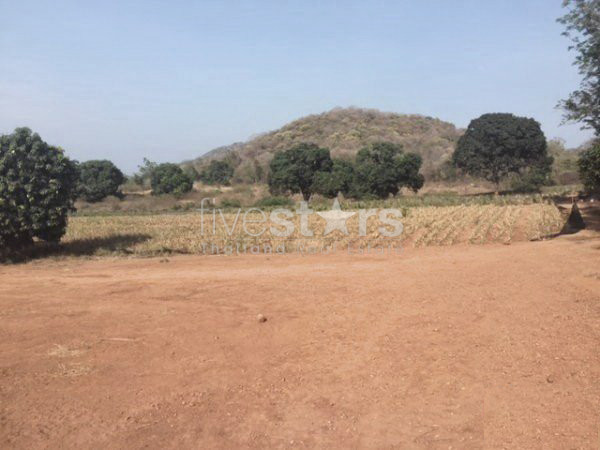 Land With Great Views, photo 2