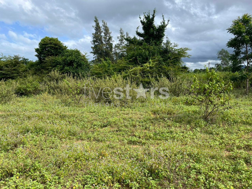 Prime Location Land 915m To Beach : Kao Kalok, photo 7