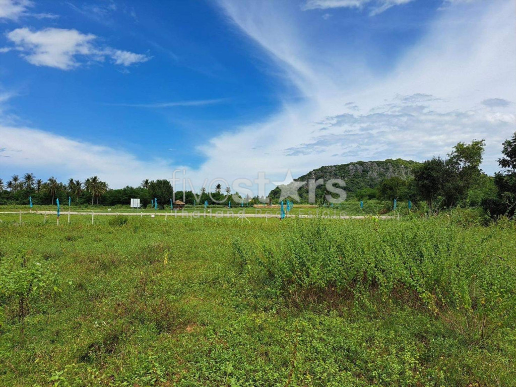 Prime Location Land 915m To Beach : Kao Kalok, photo 6