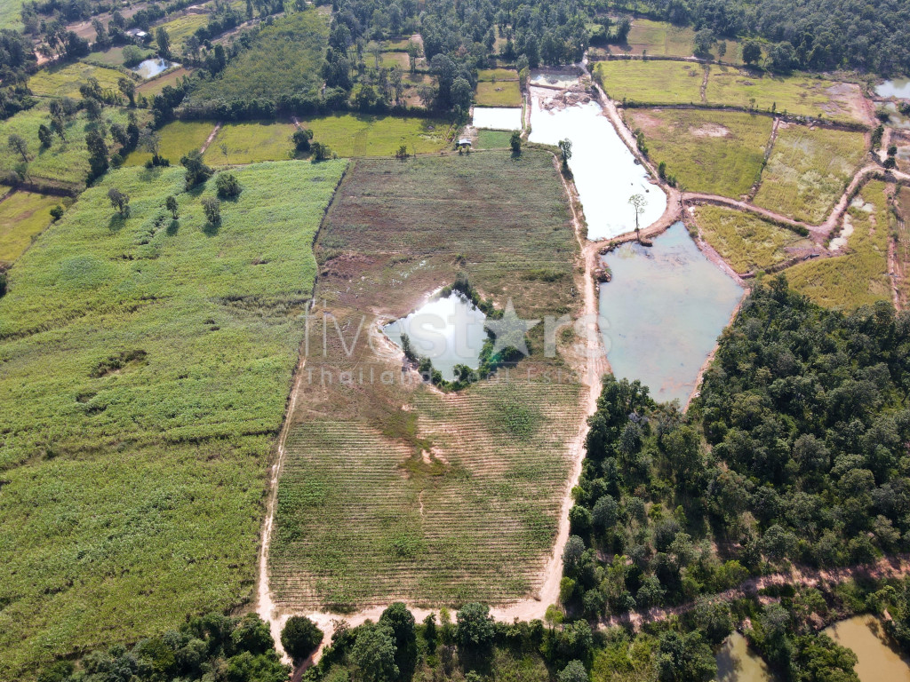 Exceptional investment opportunity on the Mekong River, photo 2