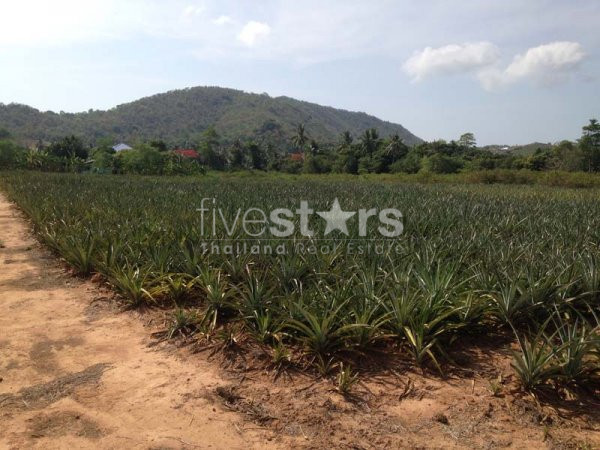 Land With Great Views