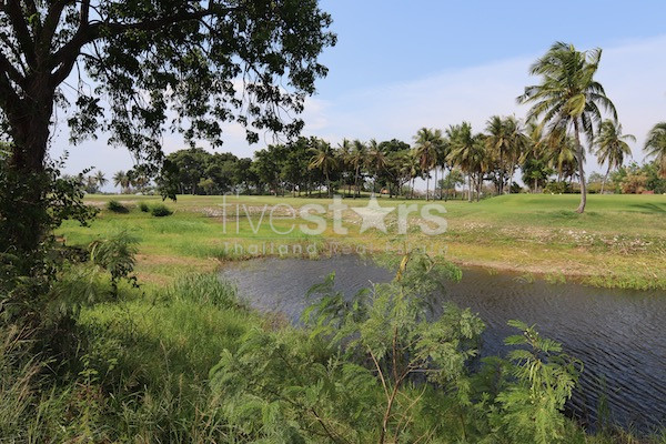 Golf course land Palm Hills for sale, photo 2