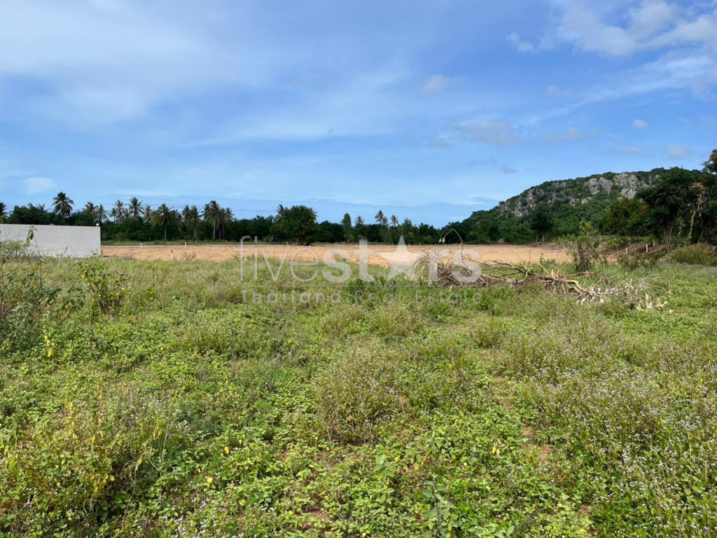 Prime Location Land 915m To Beach : Kao Kalok, photo 5