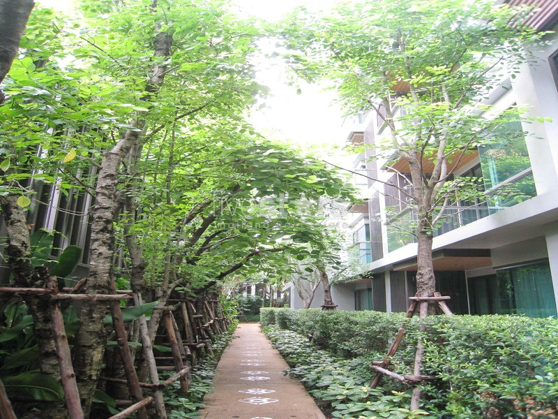 , photo 8